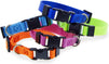 16 Pack Puppy Snap ID Collars for Small Dogs and Puppies, Adjustable, Rainbow Colors (6.5 - 10in)