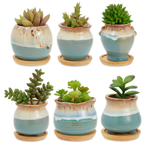 6 Pack Small Ceramic Pots for Plants and Succulents with Bamboo Drainage Trays (2 In)