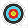 Okuna Outpost Bullseye Gun Targets for Indoor or Outdoor Shooting (17 x 17 in, 50 Pack)