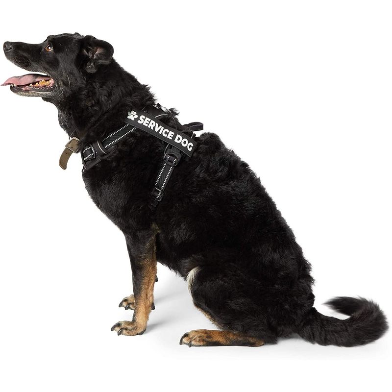 4pcs Service Dog Patch 6 x 2 - Service Dog In Training/Service Dog  Patches,Clear Pattern & Velcro Dog Patches for Vest,Velcro Patches for Dog  Harness,Dog Vest Patches