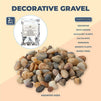 Decorative Gravel, Pebbles for Succulents and Plants (2 lbs)