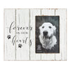 Rustic-Style Wooden Pet Memorial Picture Frame, 9.5x7.9-Inch Sentimental Dog Photo Frame to Memorialize Pets That Have Passed On, Forever In Our Hearts Display for 4x6-Inch Photos (White)