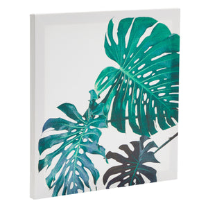 4 Piece Green Modern Canvas Wall Art Set, Botanical Succulent Wall Art Set (4 Designs, 12 x 12 In)